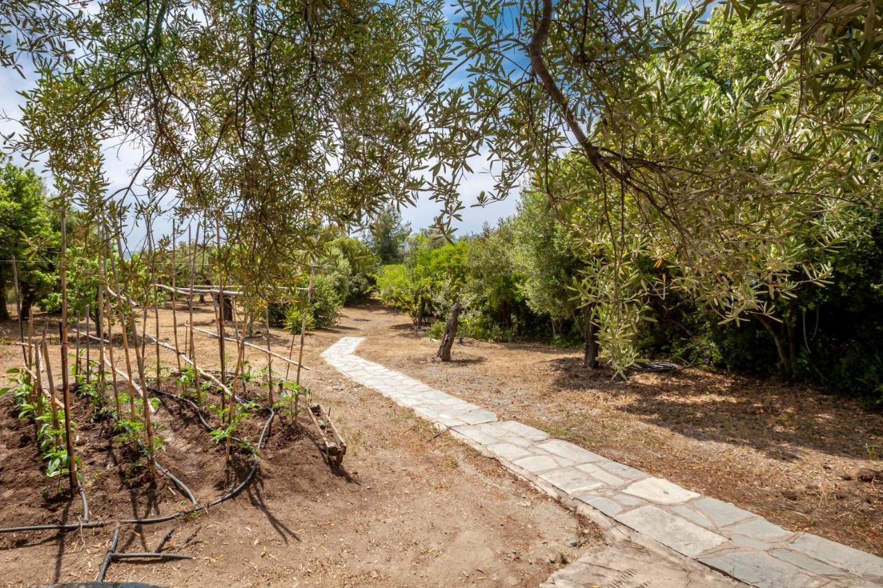 Willa Hidden Gem Sithonia Metochi Agias Kiriakis Zewnętrze zdjęcie