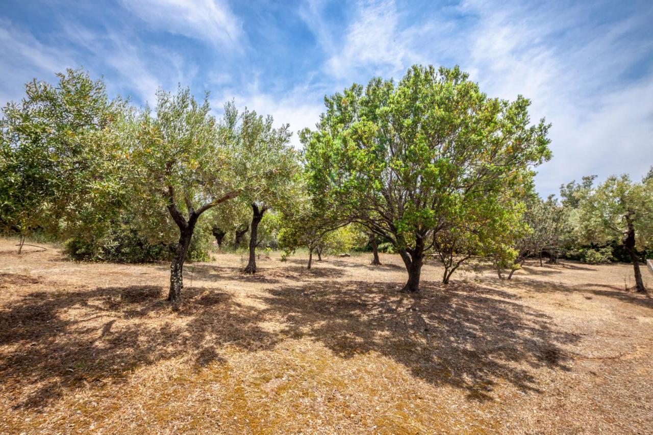 Willa Hidden Gem Sithonia Metochi Agias Kiriakis Zewnętrze zdjęcie